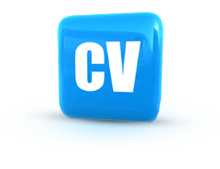 Curriculum Vitae (CV) Writing Service Resume Writers com